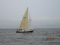 York River Cup Race 2011 141