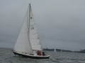 York River Cup Race 2011 150